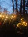 img 8294 kl