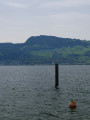 eiertuetschen39